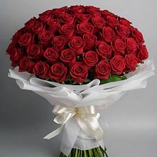 Букет 101 Красная роза Блэк Мэджик в Нововаршавке