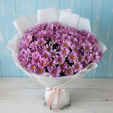 Букет цветов из:  Хризантемы в Нововаршавке