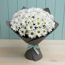 Букет цветов из:  Хризантемы #REPLACE_PRED# Нововаршавке