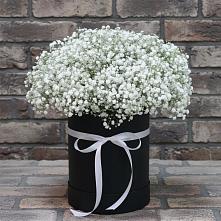 Цветочная композиция из Гипсофила в шляпной коробке в Нововаршавке