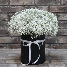 Цветочная композиция из Гипсофила в шляпной коробке в Нововаршавке